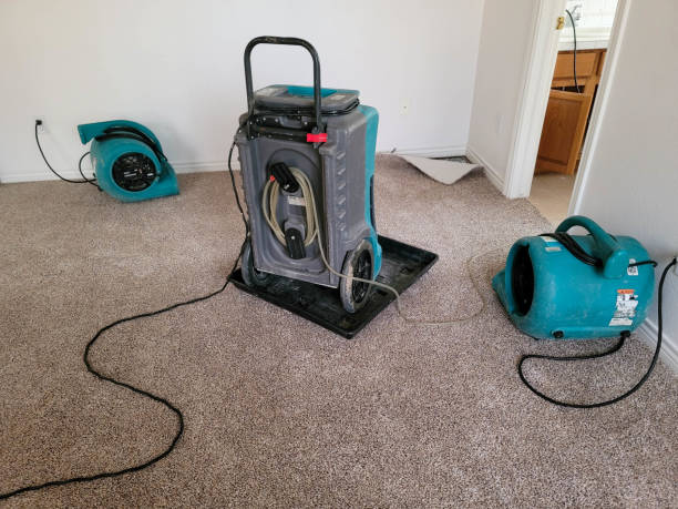 Best Emergency water damage restoration  in Fishhook, AK