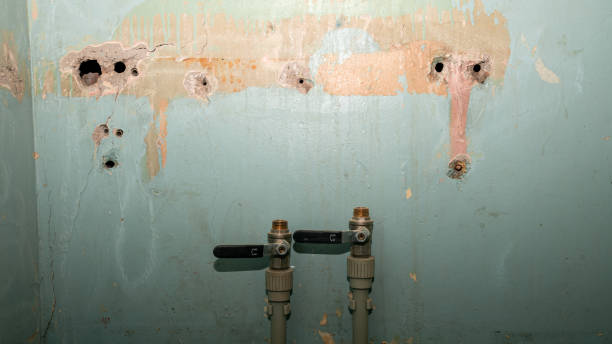 Reliable AK Water damage restoration Solutions