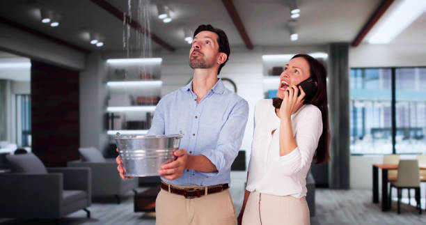 Best Carpet water damage restoration  in Fishhook, AK